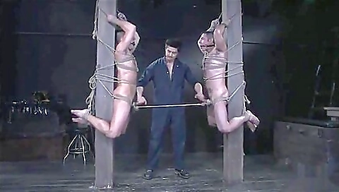 Big cock domination of a slutty bitch with big tits