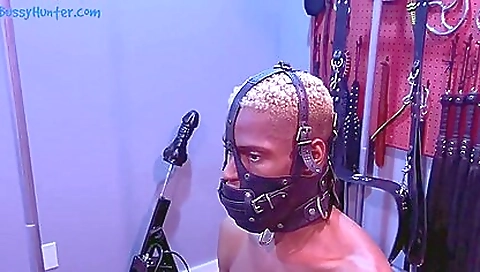 Black dude is fucking a kinky girl with a big black cock