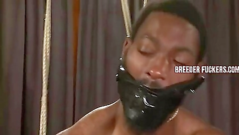 2 black babes and black dildo fuck with black dick